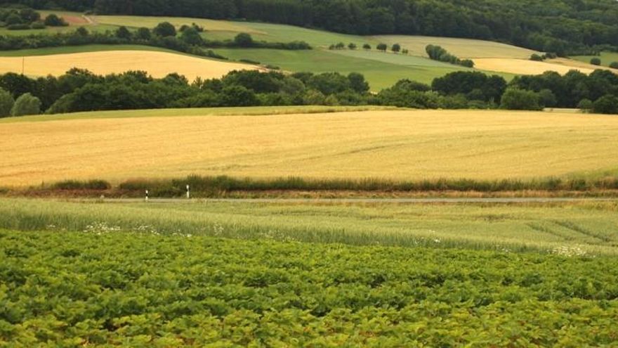 El Gobierno da luz verde a 3,5 millones en ayudas agrícolas y ganaderas para Extremadura