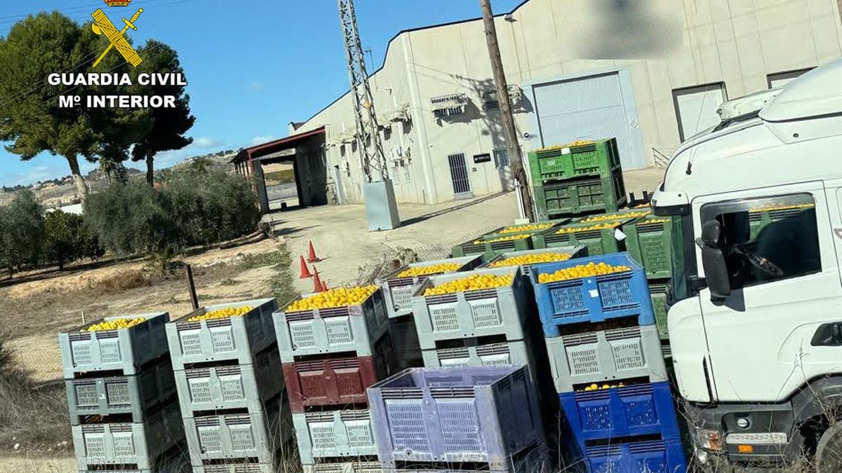 Operación 'Hot Lemon' de la Guardia Civil de la Región de Murcia