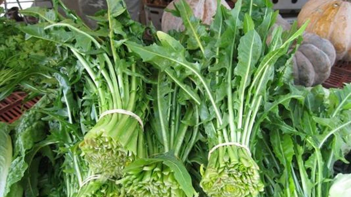 Tres recetas con diente de león, una verdura clave en la posguerra española y muy rica en nutrientes