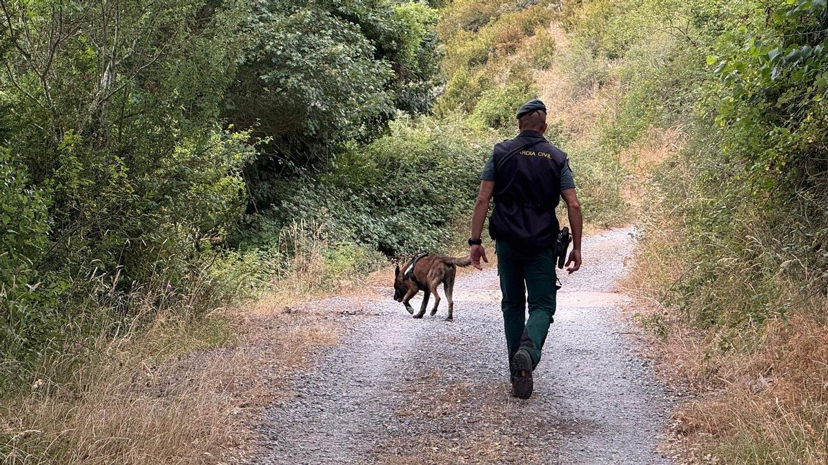 El desaparecido ha vuelto a su casa por su propio pie