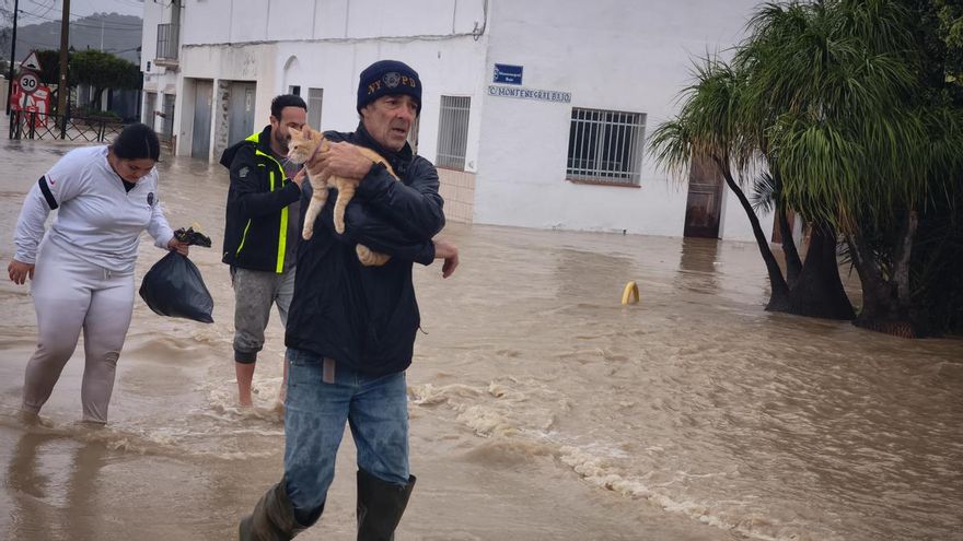 Imágenes de las inundaciones en San Martín del Tesorillo. A 4 de febrero de 2026 en San Martín del Tesorillo, Cádiz.