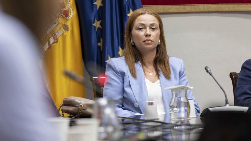 La pareja del administrador de RR7 se niega a declarar en la comisión del caso Mascarillas del Parlamento canario