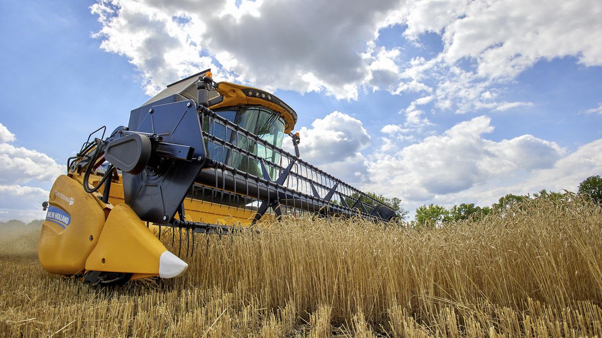 Una cosechadora recolecta trigo en un campo cerca de Járkov, Ucrania. EFE/Sergey Kozlov