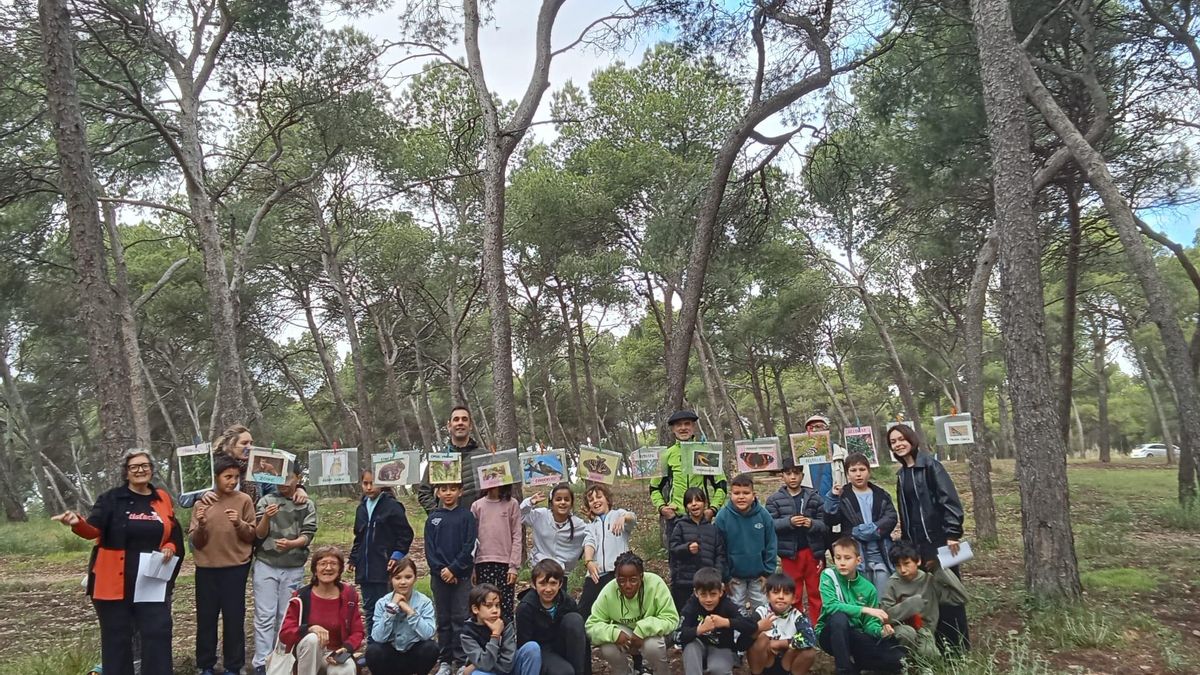 El pinar centenario de Zaragoza, un bosque ciudadano que dio oxígeno a la ciudad, necesita un plan