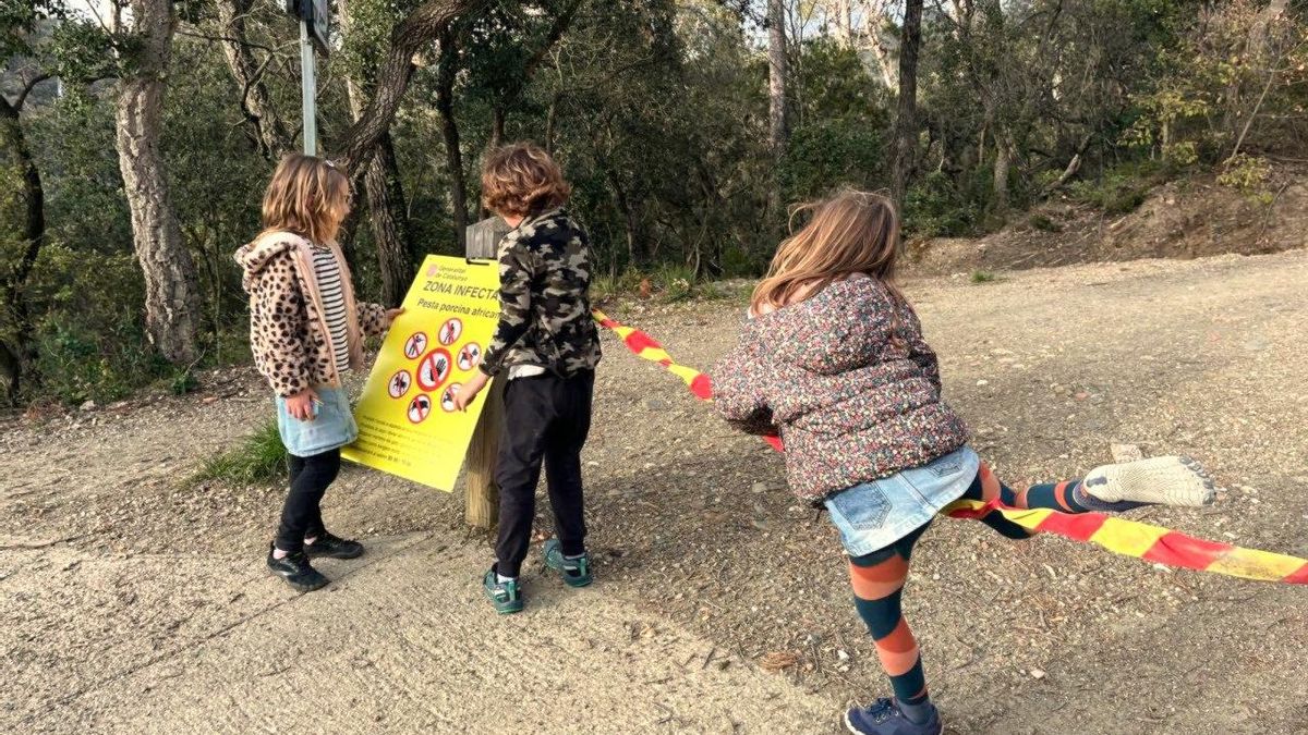 Tres alumnos de Els Xiprers observan los carteles que les impiden acceder al bosque de Collserola