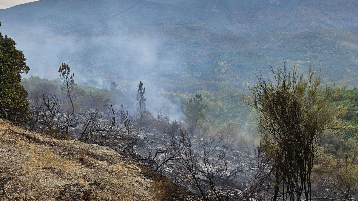 El alcalde de Sobrado denuncia la falta de medios de extinción en un incendio de madrugada.