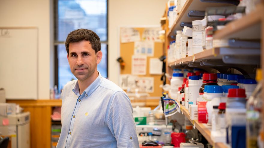 La IA logra desarrollar antibióticos eficaces contra bacterias resistentes en ratones