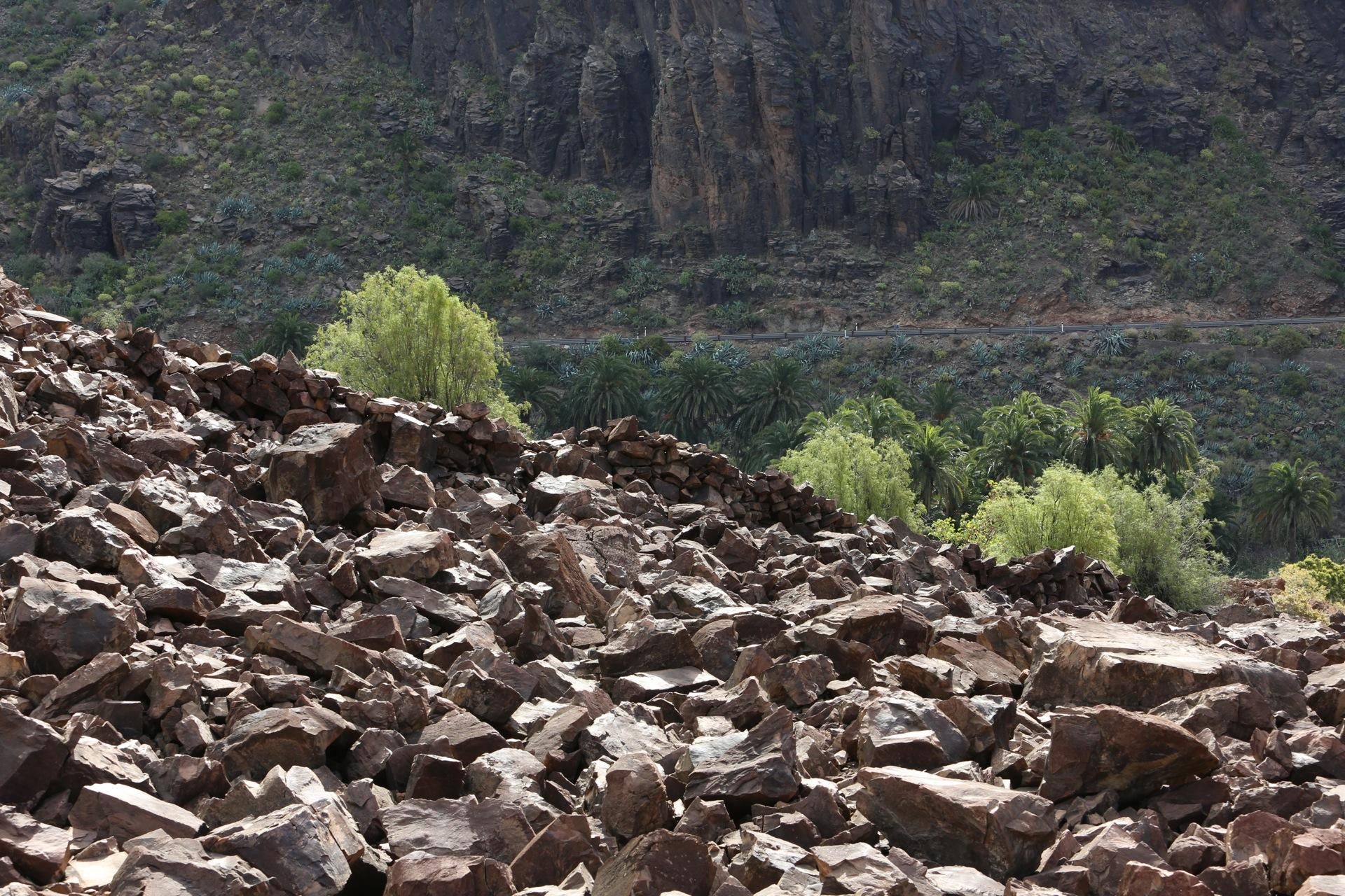 La necrópolis de Arteara. (Alejandro Ramos).
