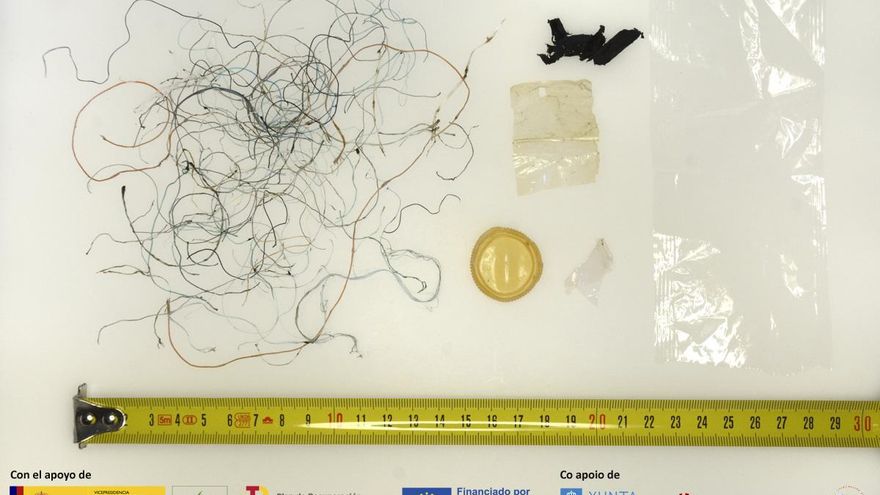 Una bolsa, un tapón de plástico y redes en el estómago de un tiburón peregrino que murió en una playa de Galicia