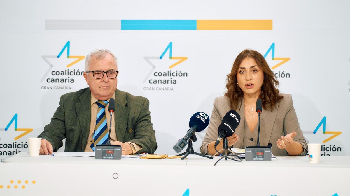 La consejera portavoz del grupo nacionalista, Vidina Cabrera, y el consejero del mismo grupo, Carlos Culebras, en la rueda de prensa.