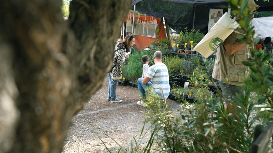 Feria de Ecología de Albacete en una imagen de archivo