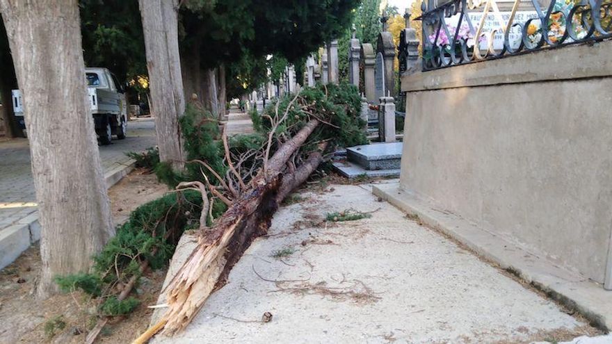 El viento provoca la caída de un tejado, cortes de luz y daños en árboles