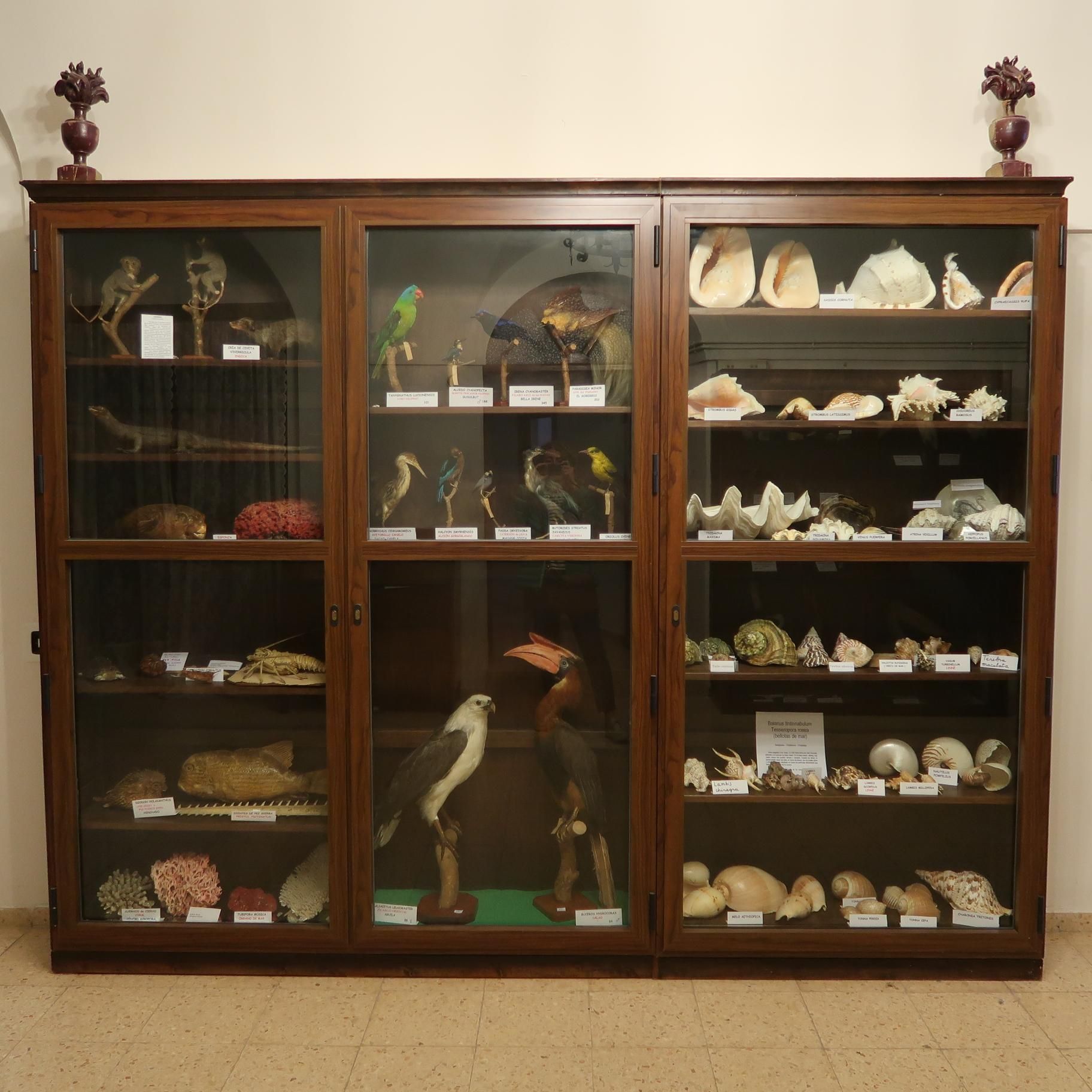 Colección Ciencias Naturales