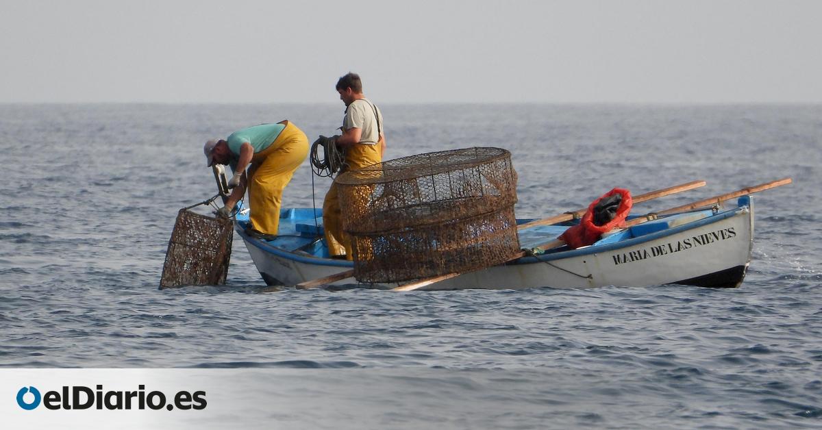Mientras el mar de Canarias se prepara para la revolución eólica, algunos pescadores temen perder su trabajo