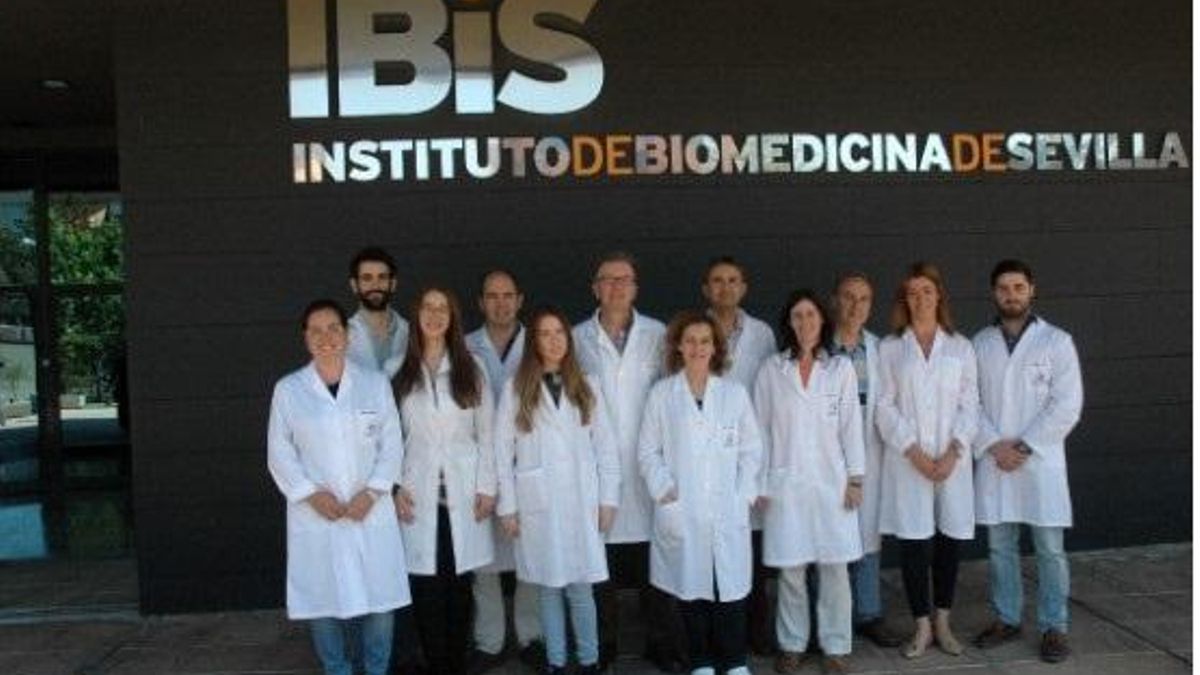 Grupo Envejecimiento neuronal -IBiS.