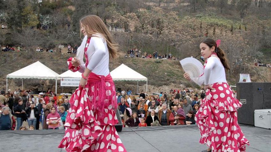 La Escuela de Flamenco de Andalucía (EFA) ha desarrollado hoy un proyecto denominado "Gran Festival Internacional de Flamenco Solidario" a beneficio de la Cruz Roja Española en la lucha contra el Covid-19 donde han participado 16 países.