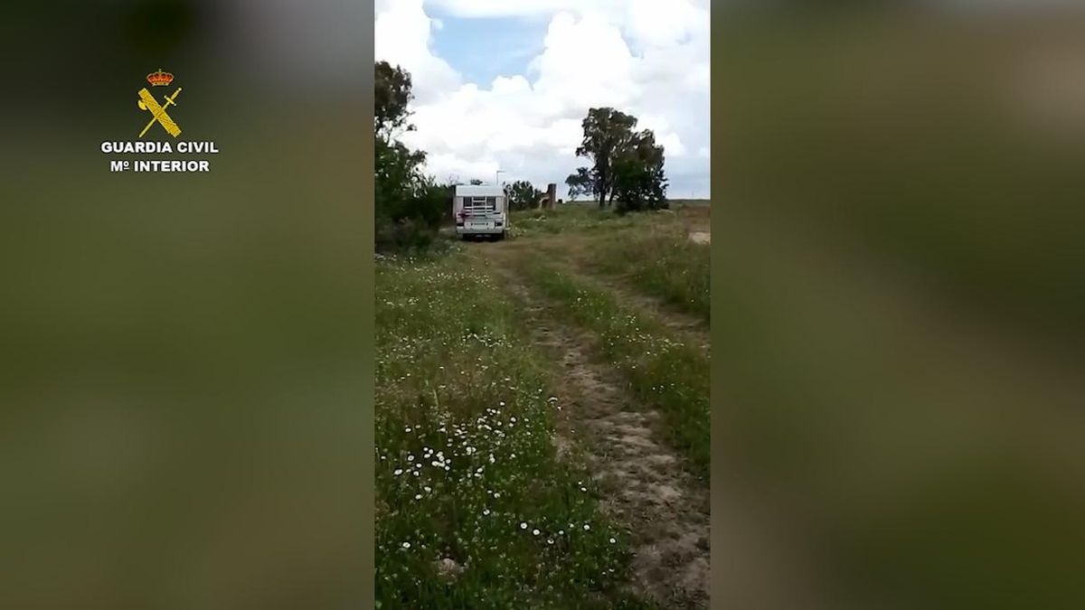 Localizadas dos  mujeres en una autocaravana bajo un árbol donde anidaba un águila imperial en Fuensalida