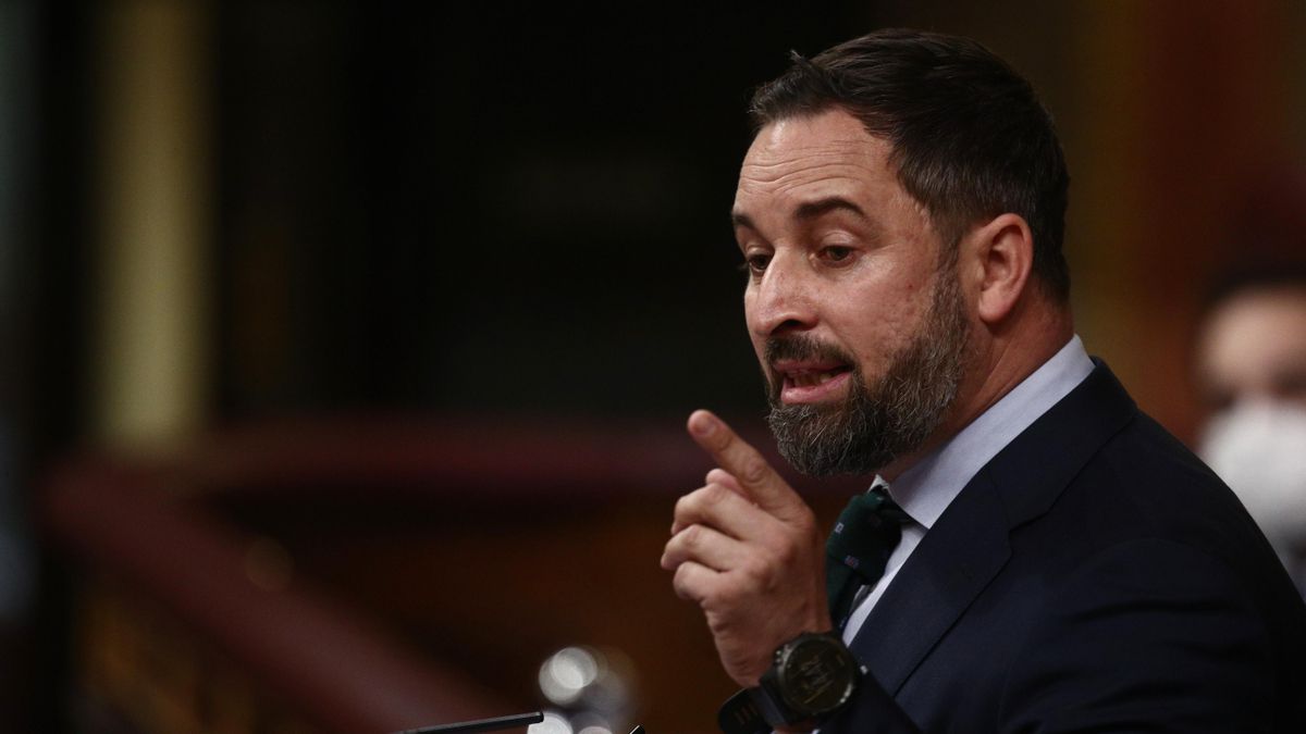 El líder de Vox, Santiago Abascal, en el Congreso