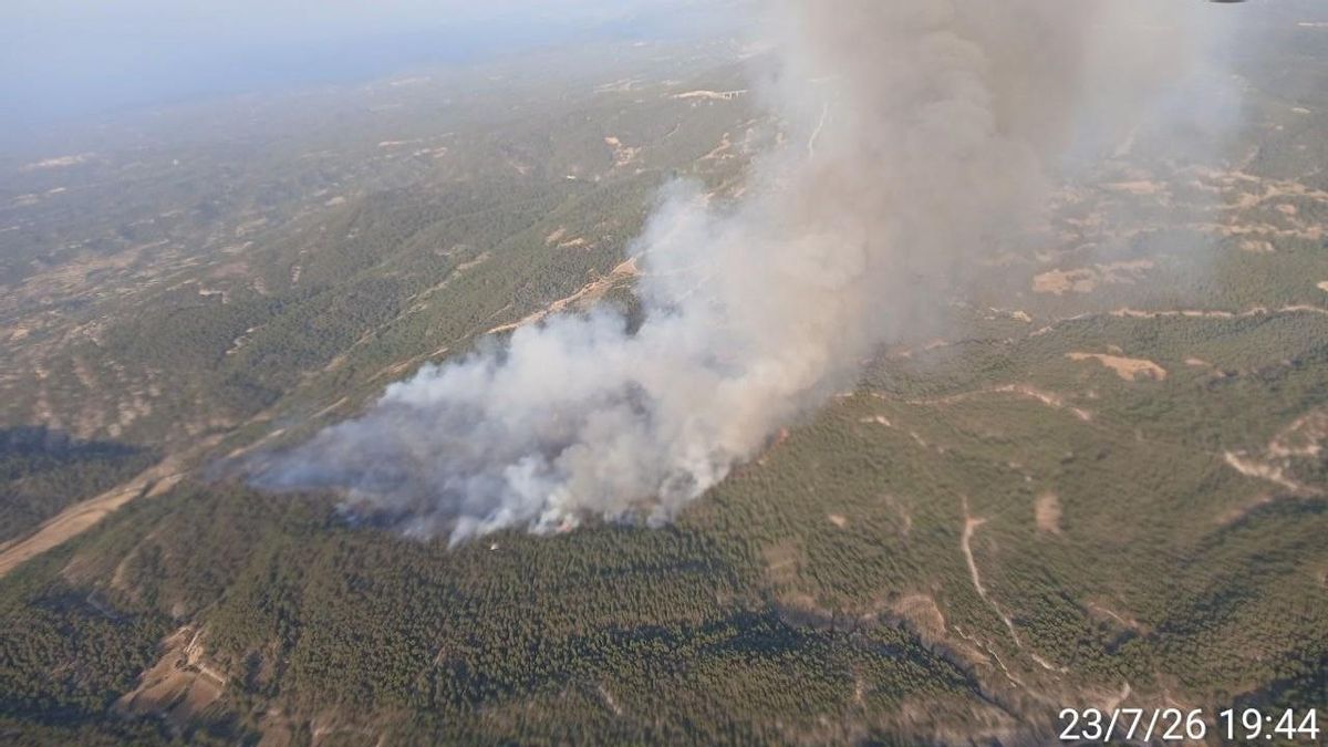 Declarado un incendio forestal entre La Cañada de Verich y La Cerollera, en Teruel: medios aéreos tratan de sofocarlo