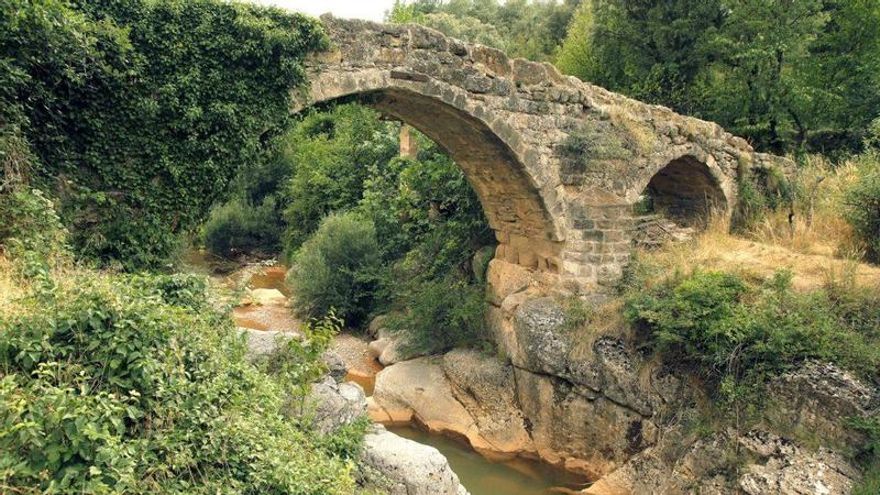 La zona de Catalunya poco conocida y que es perfecta para recoger setas en otoño