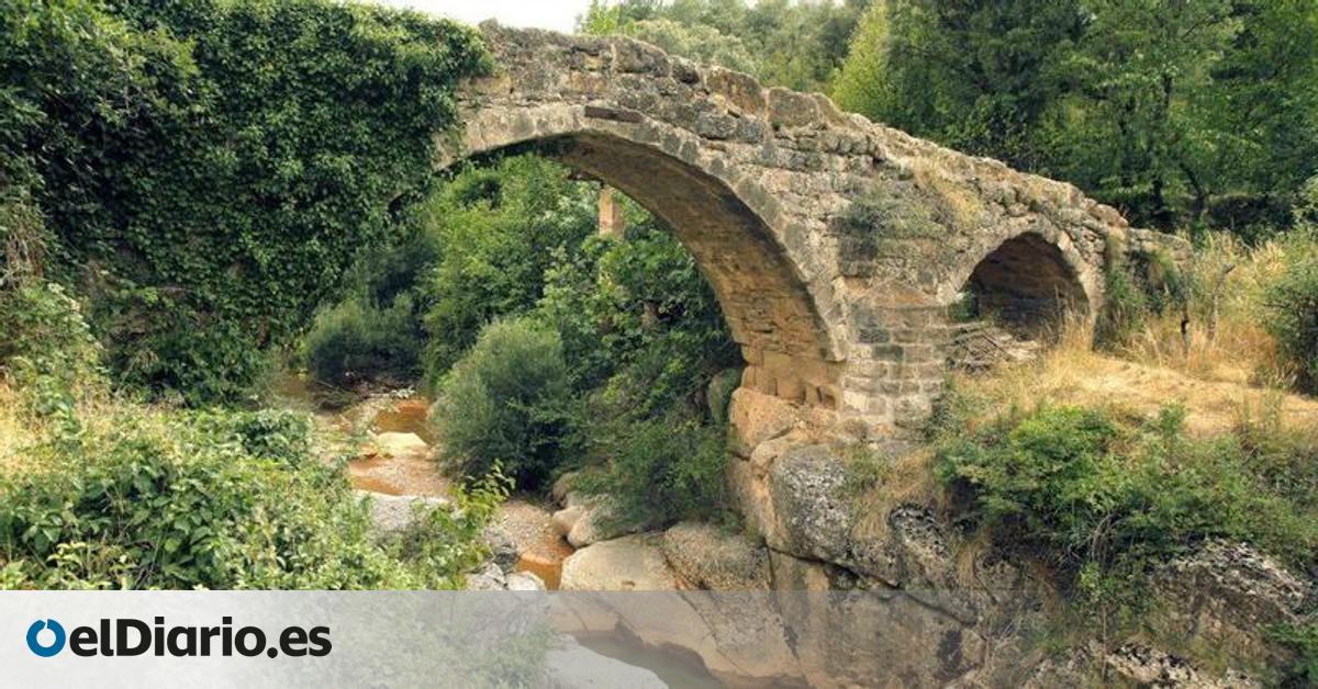 La zona de Catalunya poco conocida y que es perfecta para recoger setas en otoño