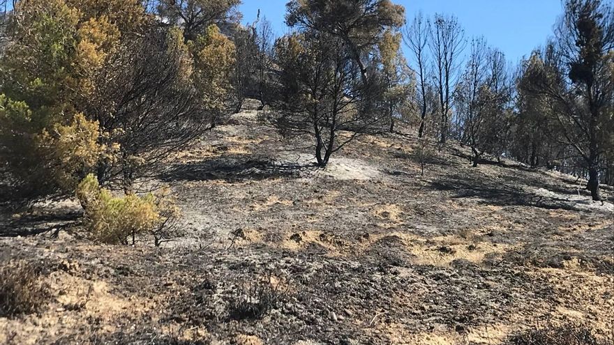 Restos del incendio de Carcastillo