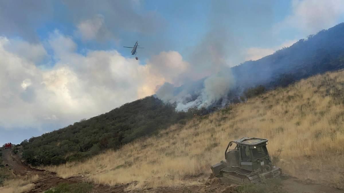 La Brigada Guzmán el Bueno X lucha contra el fuego en Castilla y León, en imágenes