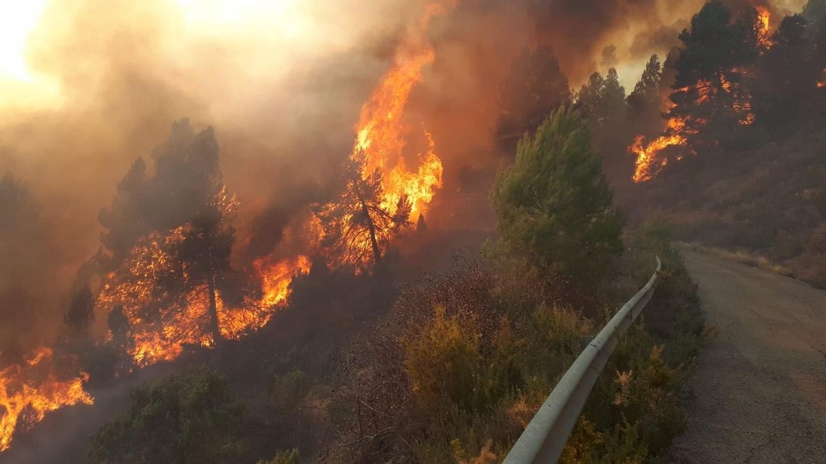 Incendio forestal en Villanueva de Viver (Castellón).