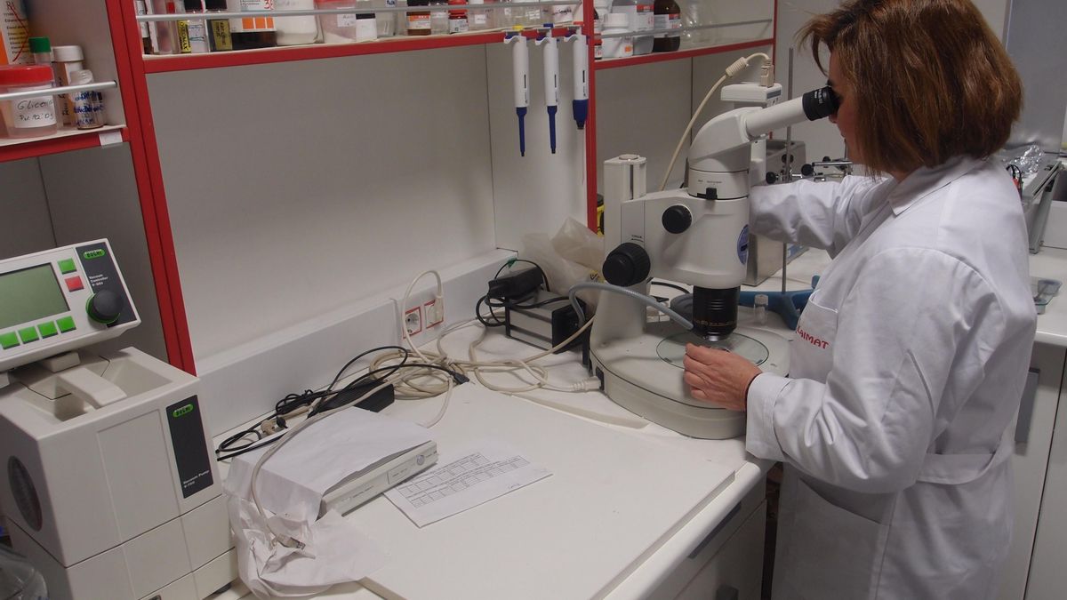 Una spin-off de la UGR desarrolla sensores 'a la carta' que detectan en minutos alimentos intoxicados