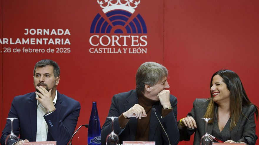 El PSOE defiende que los procuradores de Castilla y León tengan un sueldo para poder dedicarse en exclusiva a su labor