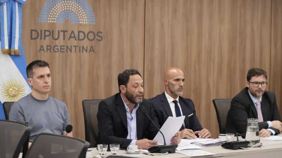 Diputados que integran la comisión investigadora del caso $LIBRA convocaron a una conferencia de prensa para este lunes 16 de marzo a las 16.