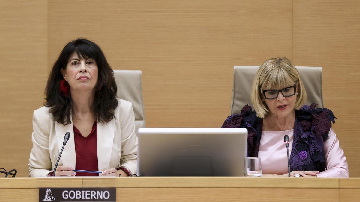 Redondo pide proteger el aborto en la Constitución "para evitar pasos atrás" y Vox lo tilda de "sacrificio de inocentes"