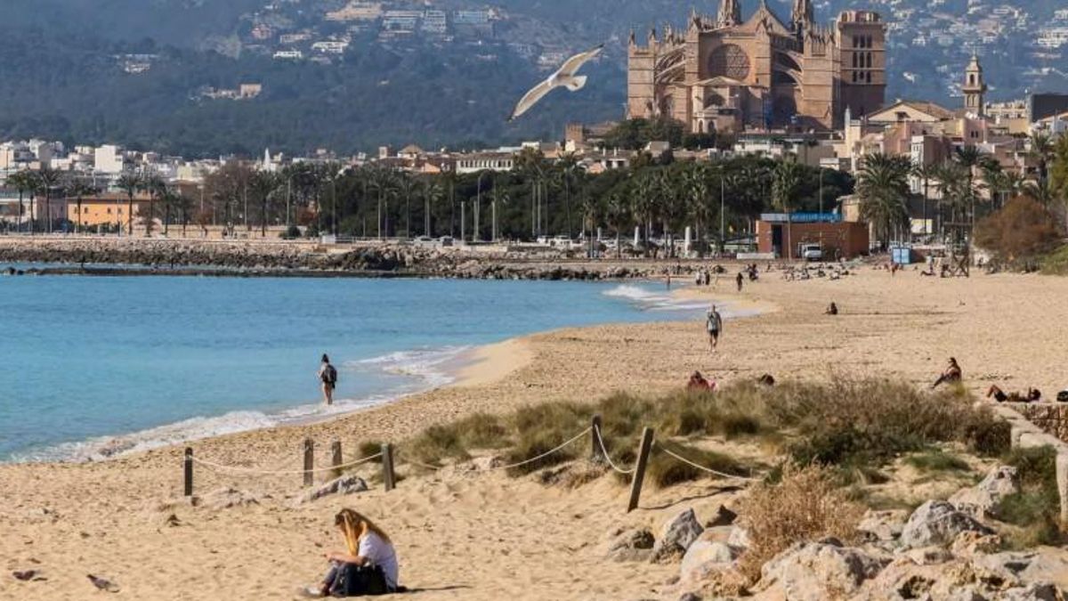 El PP presenta com a “pioner” davant el rei un pla contra la massificació a Balears amb mesures de 2019