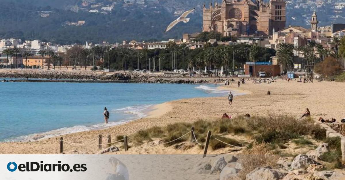 El PP presenta como “pionero” ante el rey un plan contra la masificación en Balears con medidas de 2019