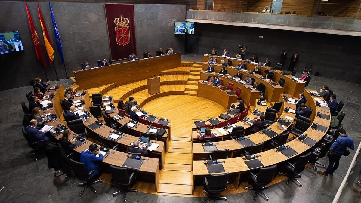 La Cámara insta al Gobierno foral a colaborar con entidades en procesos de integración de menores desprotegidos