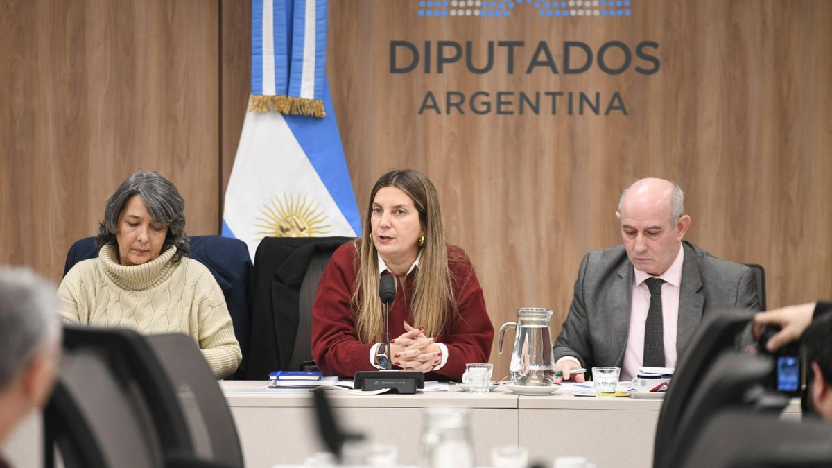 El 4 de septiembre se reunió la Comisión de Peticiones, Poderes y Reglamento para iniciar el estudio de proyectos que proponen crear una Comisión Investigadora sobre los hechos relacionados con la comercialización del fentanilo.