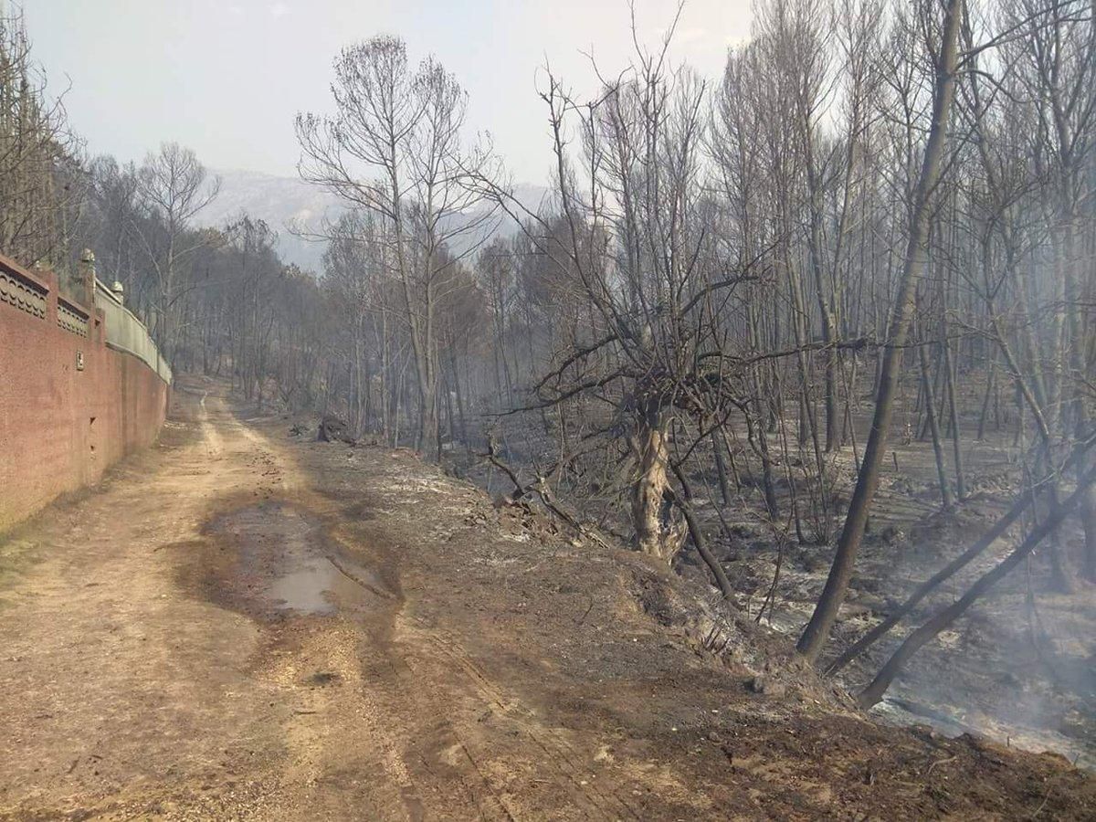 Así ha quedado el terreno tras el paso de las llamas