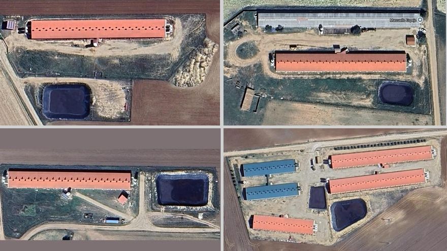 El pueblo de Cuenca que apuesta por su quinta macrogranja, a pesar de sufrir episodios de contaminación de agua