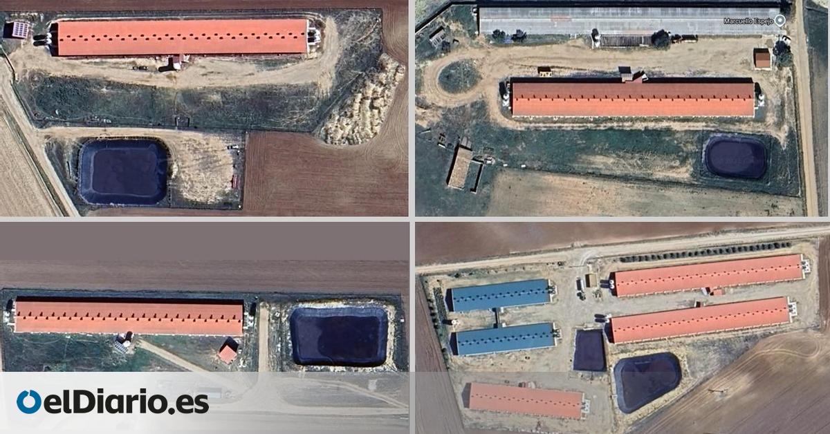 El pueblo de Cuenca que apuesta por su quinta macrogranja, a pesar de sufrir episodios de contaminación de agua