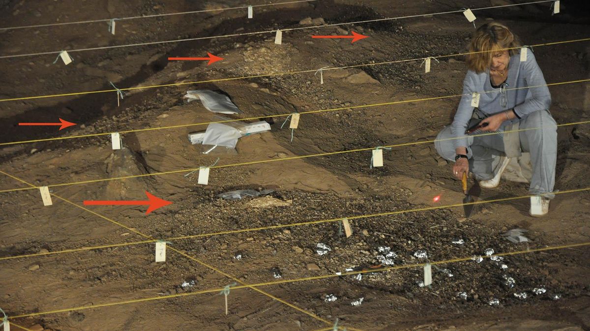 El primer fuego humano: hace 1,5 millones de años lo ‘robamos’ a la naturaleza y lo protegimos en una cueva