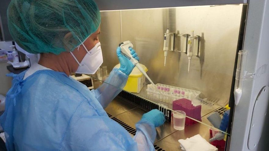 Canarias registra 202 casos nuevos de COVID-19 y suma una muerte por la enfermedad en las últimas 24 horas