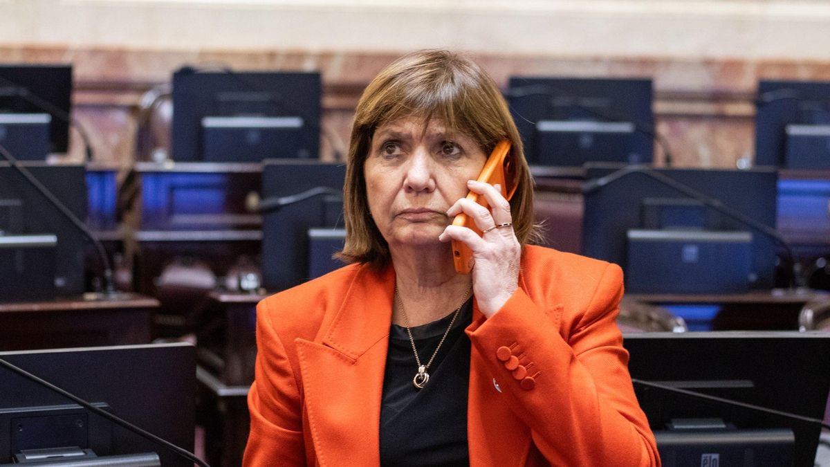 La planta de los votos, los llamados de gobernadores peronistas y la pelea con Karina: Patricia Bullrich arma su plan