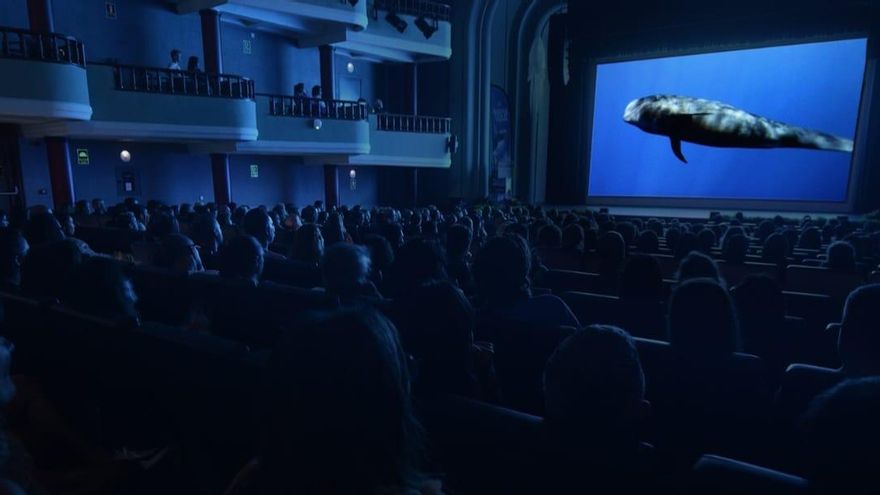 Proyección de 'Nika, el calderón tropical' 