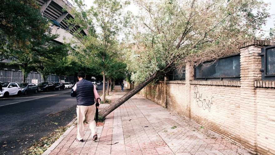 Calle padre Gracía Tejero, junto al campo de fútbol del Betis