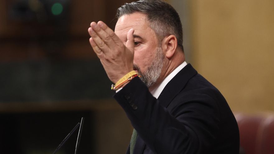El líder de Vox, Santiago Abascal, durante una sesión de control al Gobierno, en el Congreso de los Diputados.