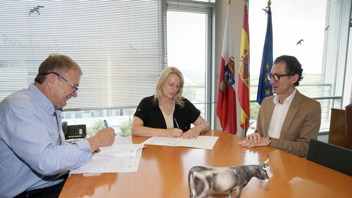 Cantabria destina 51.000 euros a los criadores de ganado vacuno de raza tudanca