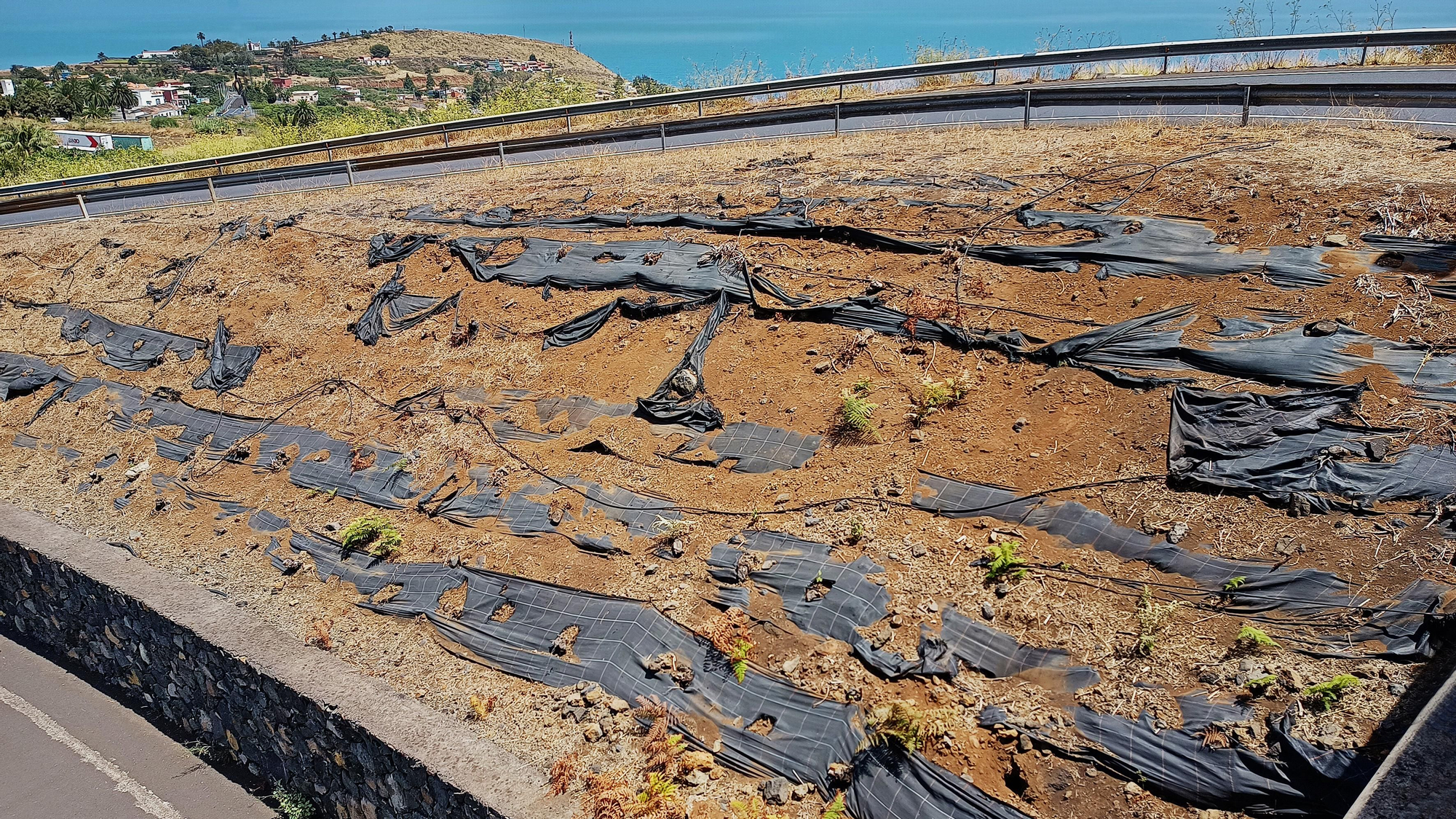 Talud cubierto con malla plástica visible y deteriorada, con riego instalado (Foto: Adán Mentrel)