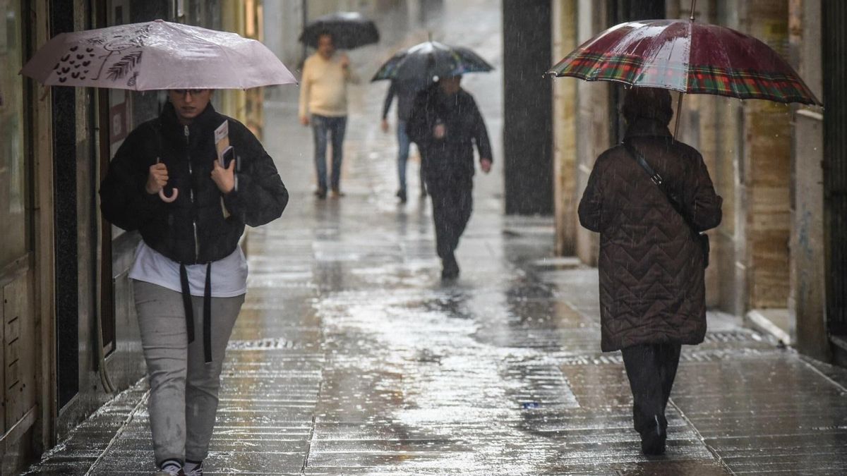El temporal deja ocho incidentes en Mallorca y obliga a cerrar tres parques de Palma