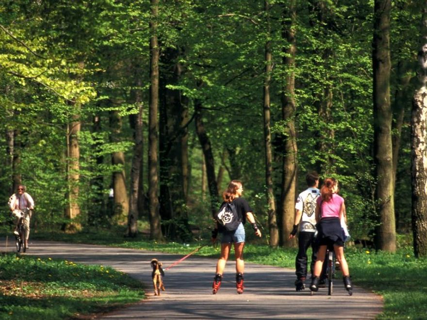 Paseando por Eilenriede, el bosque urbano más grande del mundo.