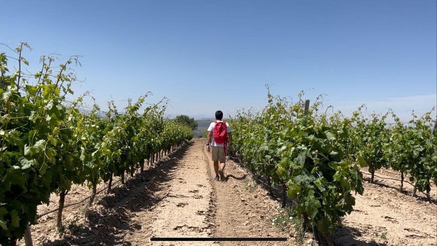El cambio climático traerá la "desertificación" del sur de Álava y desprendimientos de laderas
